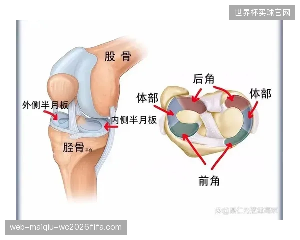 中国干细胞监管迎来拐点：北京某三甲医院已启动针对半月板损伤的合规临床试验
