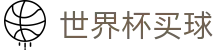 2026世界杯买球(World Cup)中国投注官方合作平台地址推荐